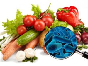 Curso de Informacion Nutricional y Bromatologia